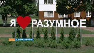 «Сельский порядок». Разумное Белгородского района (28.08.2019)