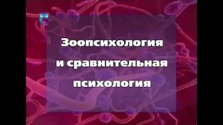 Зоопсихология и сравнительная психология