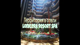 Обзор территории в отеле Lonicera resort Spa