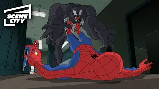 Venom Tries to Take Spider-Man's Powers | The Spectacular Spider-Man (2008)
