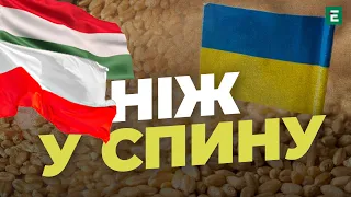 ⚡ЗАБОРОНА на ІМПОРТ українського зерна в Польщі та Угорщині: Що це означає для України, - МАРЧУК