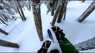 Ski Stevens Pass - QST = Quick Surfy Turns