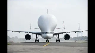 Pour la première fois, le Beluga XL à Montoir-de-Bretagne