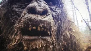 Warning: This Bigfoot Proof Will Change Your Mind Forever - Part 2