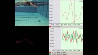 Swimming analysis with Simi Motion