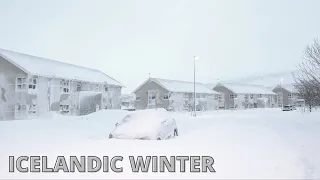 Icelandic Comedy - The Icelandic Winter