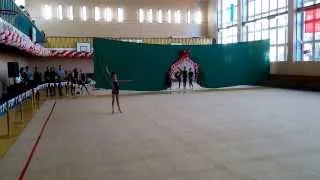 Чемпионат Запорожской области по художественной гимнастике 2013