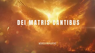 DEI MATRIS CANTIBUS | WordsFromABOVE | #gregorianchant #chanting #peace #blessings