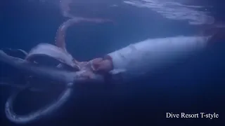 Japanese divers capture rare footage of live giant squid!