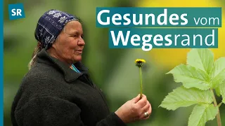 Kräuterwanderung - Knoblauchsrauke, Giersch und Löwenzahn auf der Spur