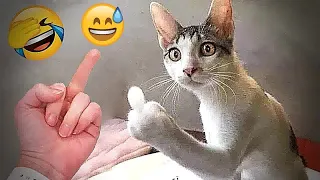 Hilarious Cats and Dogs 🐕🐈 Funniest Animals 2024 🤣