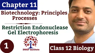 Chapter 11 | Biotechnology Principles and Processes - 01 | Restriction Enzyme | Class 12 |