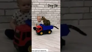 Кот и ребенок лучшие друзья!🐈Cat and baby are best friends#Shorts