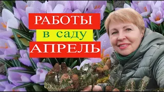 КАЛЕНДАРЬ садовода. Работы в саду в апреле. Что посеять?