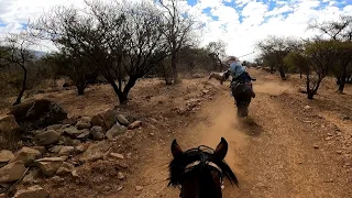 Laceadores de cerro #9