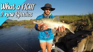 Catching one of the STRONGEST AND FASTEST RIVER FISH & loads of BASS at ALBERT FALLS, South Africa.