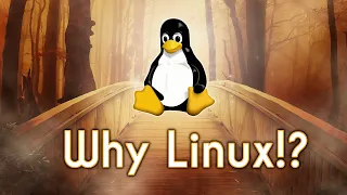 Why Choose Linux over Windows or MacOS?