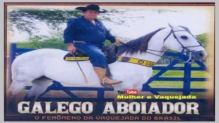 Galego Aboiador, 2024