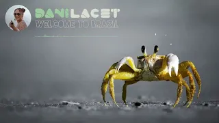 DJ DANI LACET - WELCOME TO BRAZIL (LIVE SET)