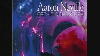 Aaron Neville - EARTH ANGEL