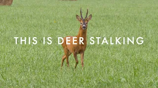 This Is Deer Stalking
