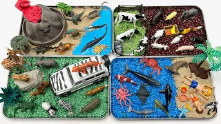 Animals Diorama In 4 Tray | Small World Ocean Safari Farm Dinosaur World