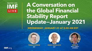 A Conversation on the Global Financial Stability Report Update – January 2021