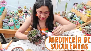 JARDINERÍA EN EL INVERNADERO DE SUCULENTAS  | Candy Bu