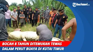 Bocah 8 Tahun Ditemukan Tewas Dalam Perut Buaya di Kutai Timur