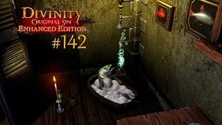 Divinity: Original Sin - Enhanced Edition #142 | Leichensammlerin | Let's Enjoy