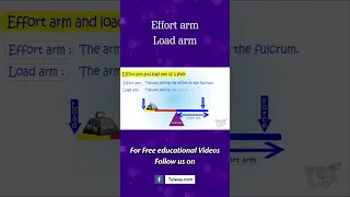 Lever | Parts of Lever | Effort Arm and Load Arm of a Lever | Types of Lever | Science #shorts