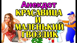 АНЕКДОТ ПРО САНТЕХНИКА И КРАСАВИЦУ, СВЕЖИЙ АНЕКДОТ...