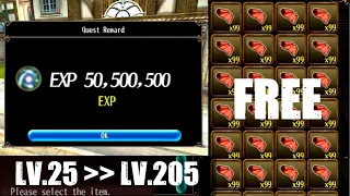 Lv.25-205 Free Fast Leveling without Equipments - Toram Online