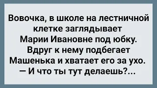 Вовочка в Школе Заглядывает Под Юбки! Сборник Свежих Анекдотов! Юмор!