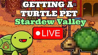 Getting A Turtle In STARDEW VALLEY! ~LIVE~ (Part 4)