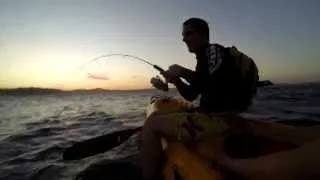 Shad Fishing, East London