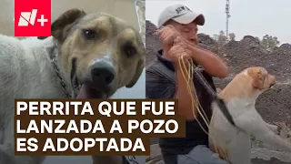 Libertad, perrita lanzada a un pozo en León, ya tiene nueva familia - N+