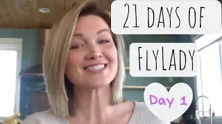 Day 1 - Shine Your Sink | Flylady Baby Steps | Secret Slob