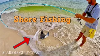 THE ***EASIEST*** WAY to SURF FISH/ SHORE FISH [LIGHT TACKLE]