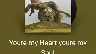 You my Heart you're my Soul