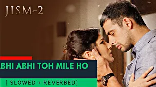 ABHI ABHI TOH MILE HO | JISM 2|  SLOWED X REVERB|  Sunny Leone, Randeep Hooda, Arunnoday Singh