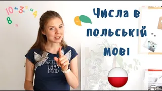 Польські числівники: просто про складне