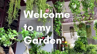 A Glimpse of My Garden - A Serene Escape to Nature's Delight!