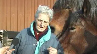 Gerrit en Dora Dusomos, Nieuwkuijk