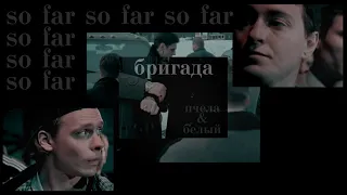 so far [бригада, пчела & белый]