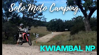 Solo Moto Camping Kwiambal NP - CRF 300 Rally