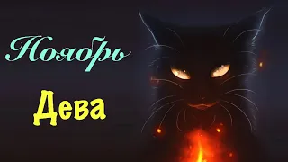 Дева _ Ноябрь 2022 _ Таро прогноз от Wise_NikOwl_Tarot