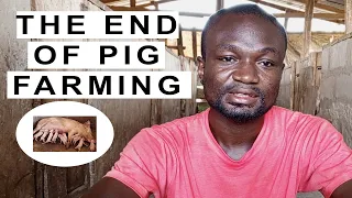 I'm Quitting Pig Farming  (Want to Start A Pig Farm Business)