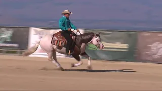 Titan's 2019 Reining By The Bay Open Derby Reserve Championship Run