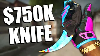 The 10 MOST EXPENSIVE CS:GO Skins EVER ($750,000+) | TDM_Heyzeus